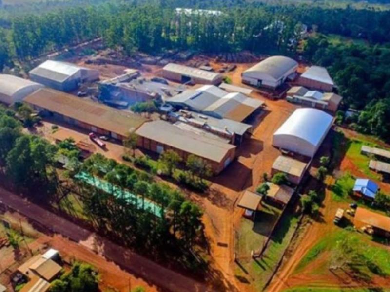 Cooperativa Andresito suspendió pagos a productores y crece la alarma en el sector yerbatero