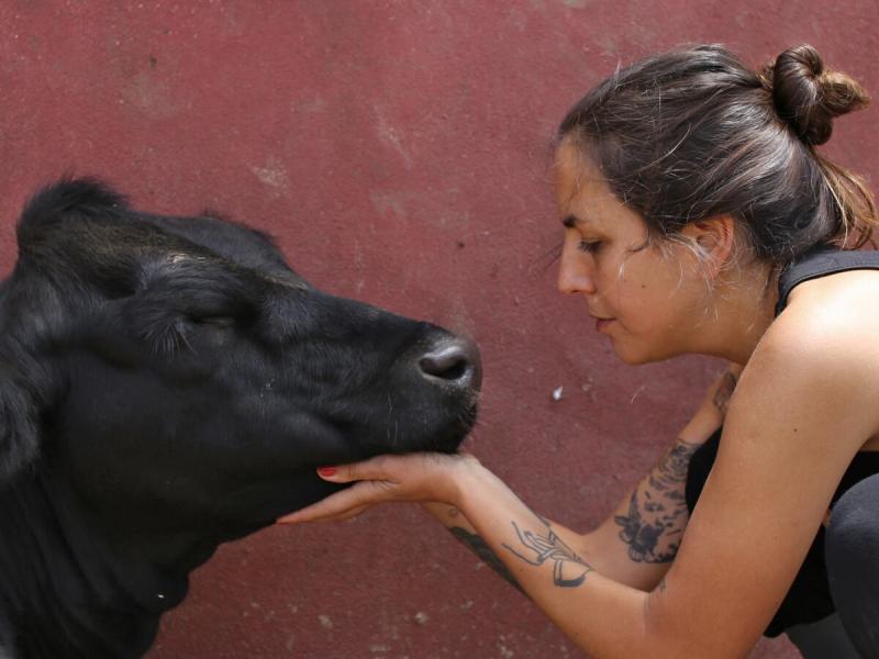 Liberación animal: “Argentina es el primer exportador de carne de caballo y nadie lo sabe”