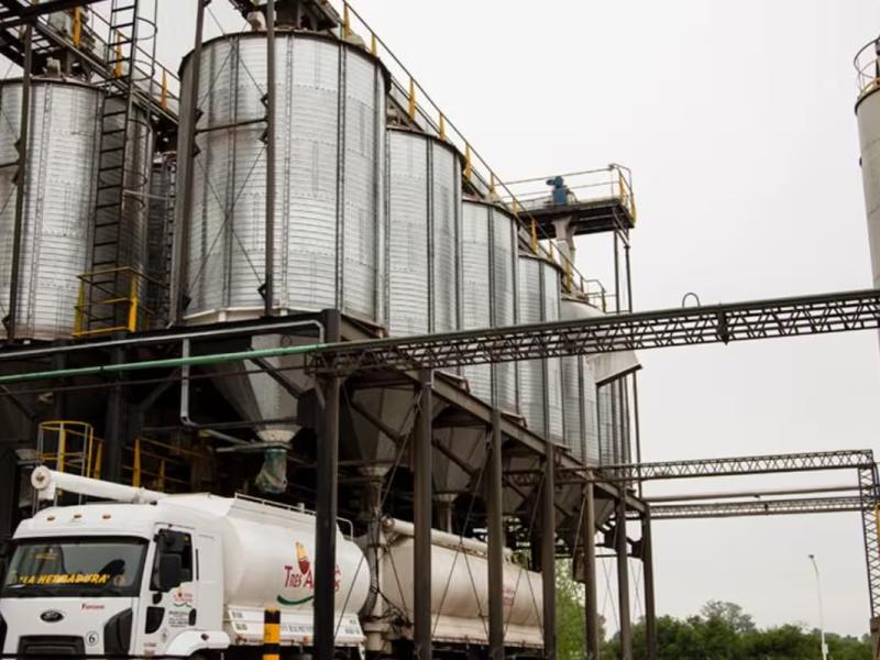 Granja Tres Arroyos atraviesa una crisis crítica: crecen los pedidos de quiebra y aumenta la incertidumbre entre casi 7.000 trabajadores