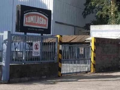 Crisis industrial: Lumilagro despidió 170 trabajadores, apagó sus hornos y comenzó a importar desde Asia