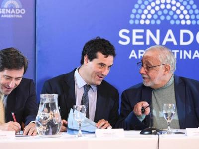 Pesino enfrenta cuestionamientos en el Senado durante la audiencia por su continuidad en la Cámara del Trabajo