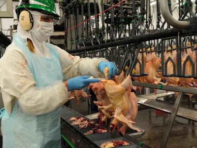 Granja Tres Arroyos suspendió a 200 trabajadores por seis meses y profundiza su crisis